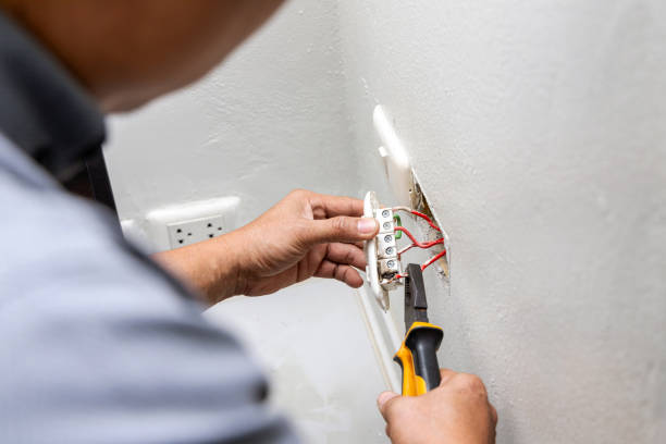 Best Electric Panel Repair  in Elsberry, MO